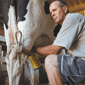 DairyFlow Performance-Engineered Milk Tubing